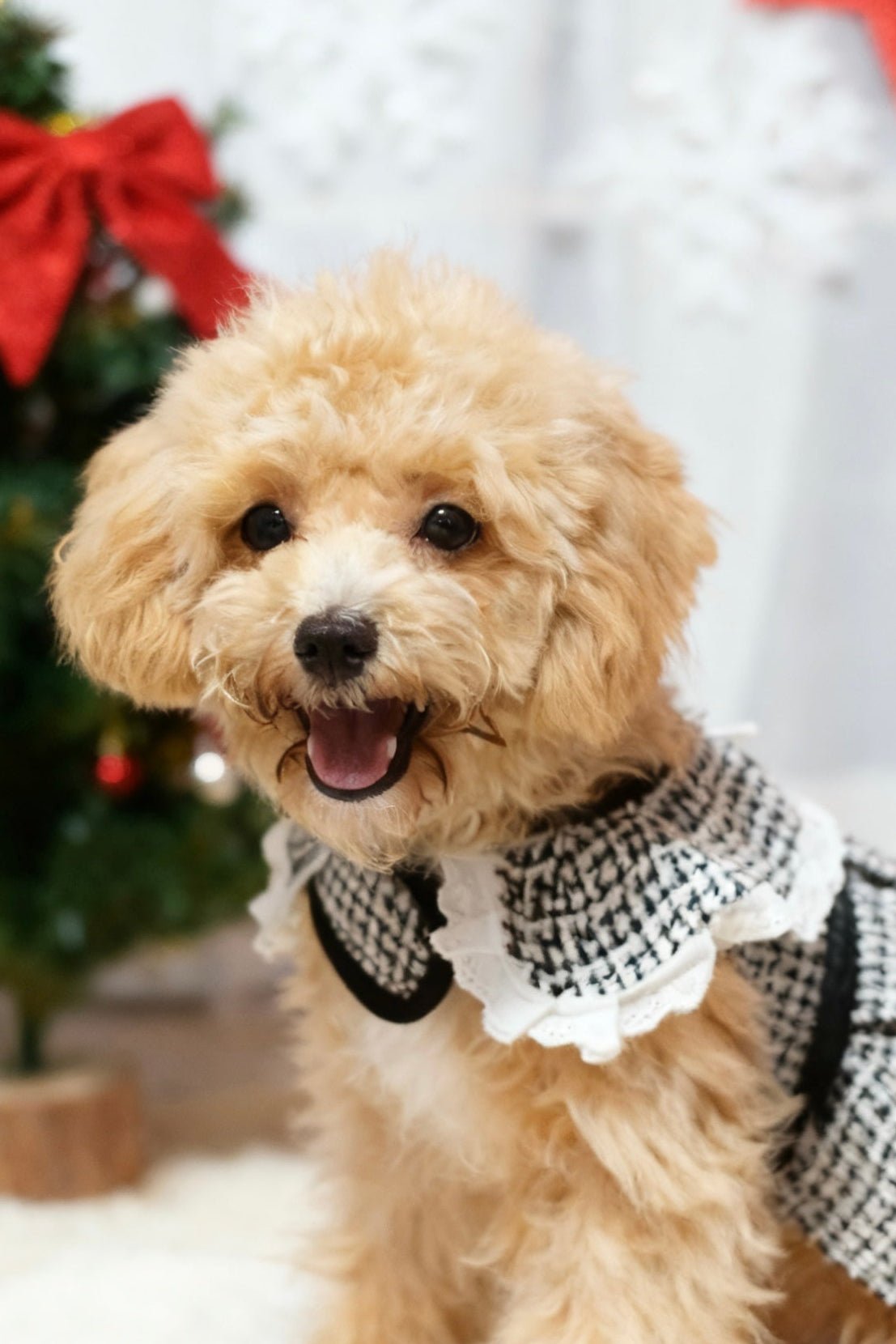 Monochrome Houndstooth Harness Dress - Chic & Stylish Outfit