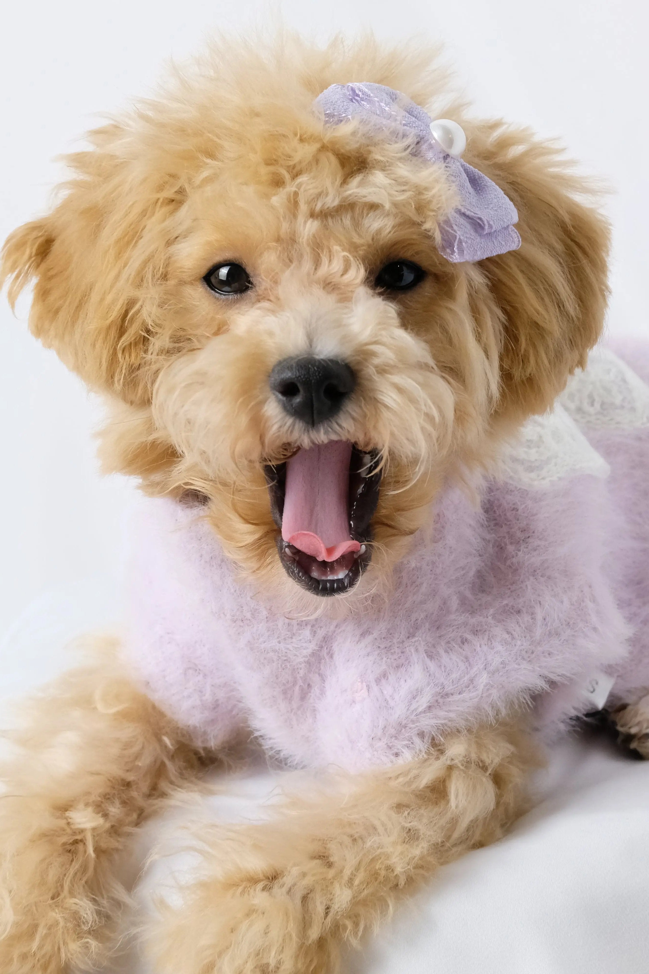 香芋紫繡花蝴蝶結毛衣 Luna Nana