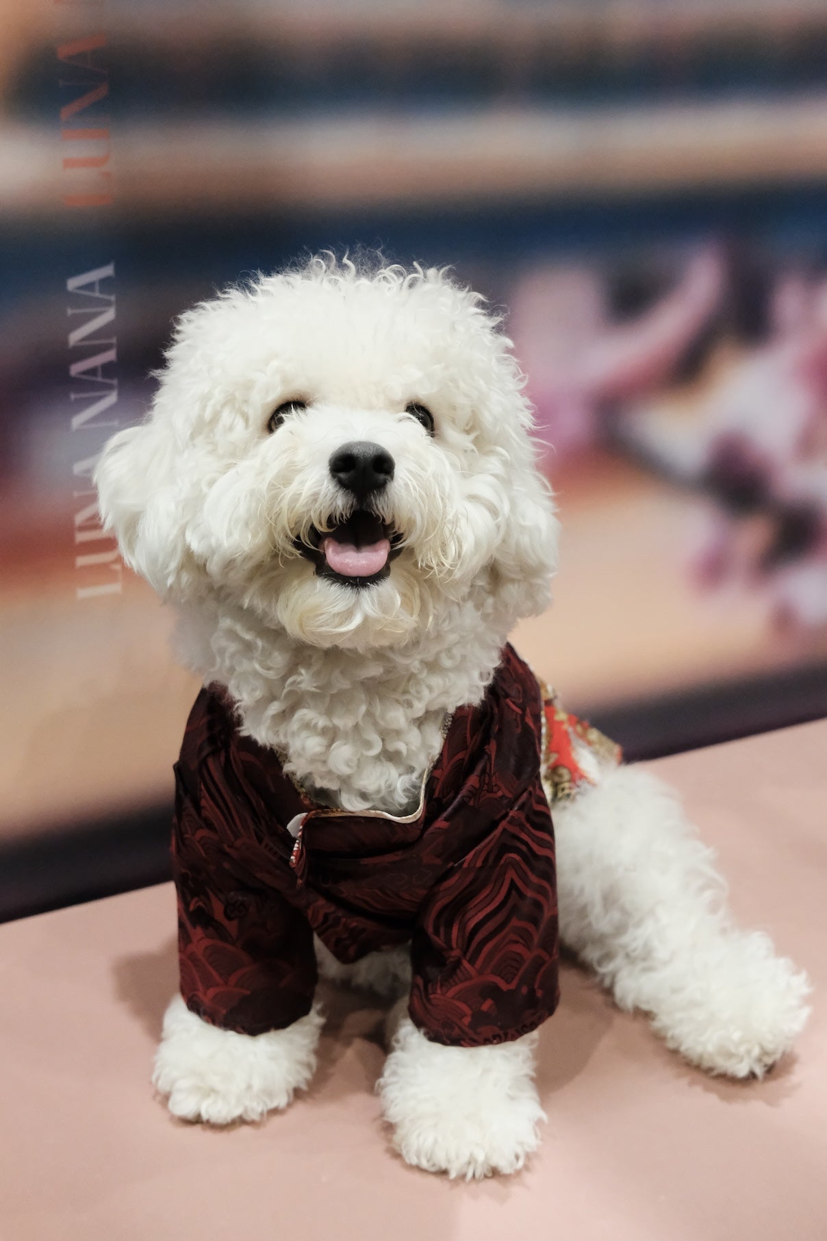 丹霞映羽·着物