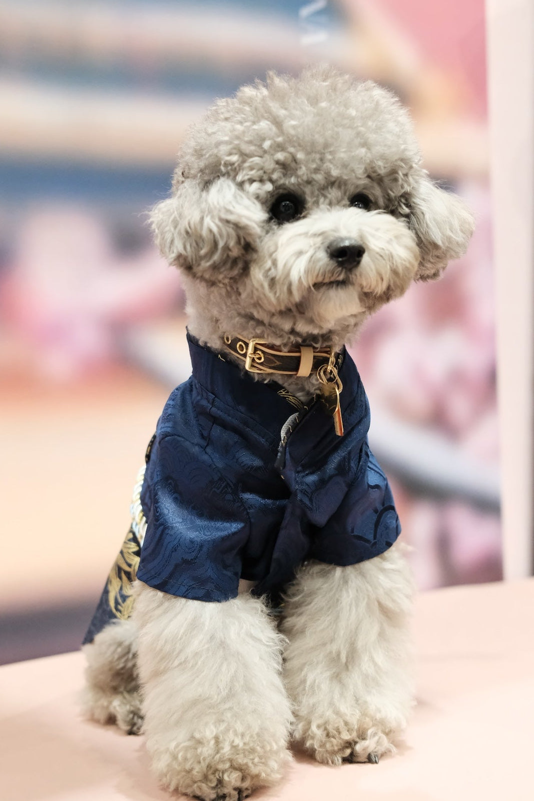 江天一色·着物