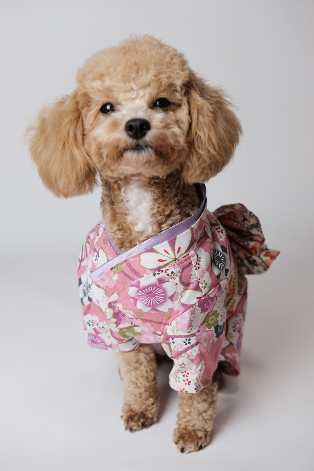 落英繽紛·着物