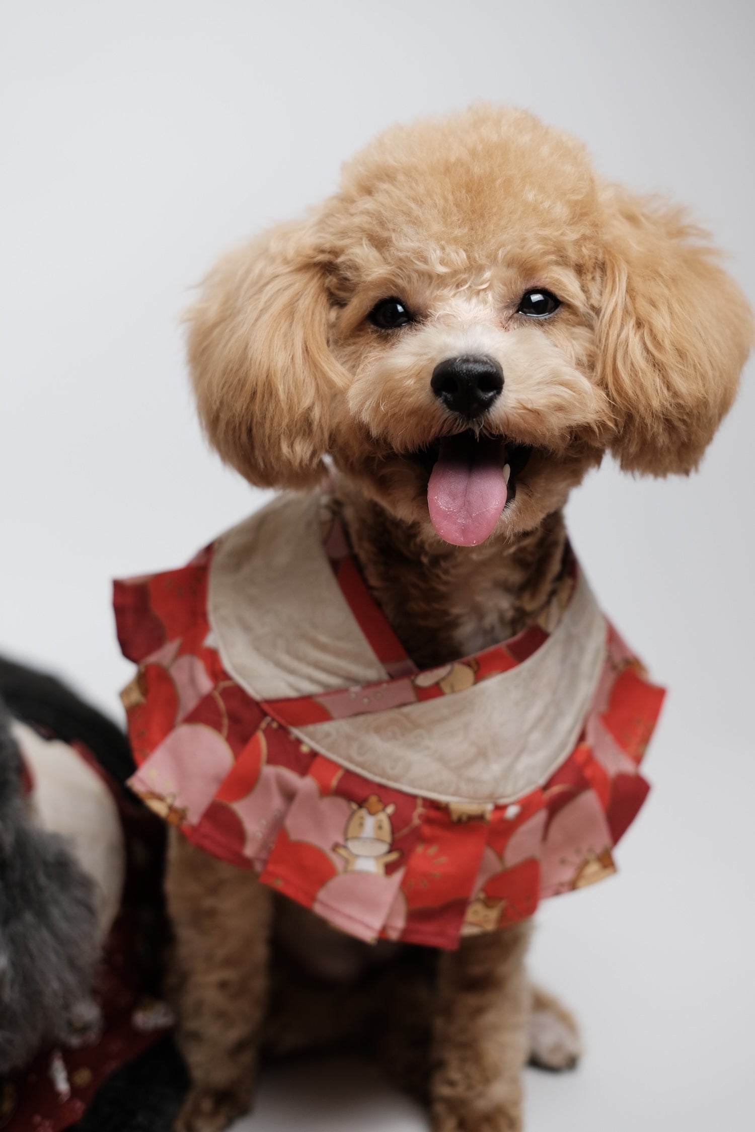 駿馬迎春·領飾