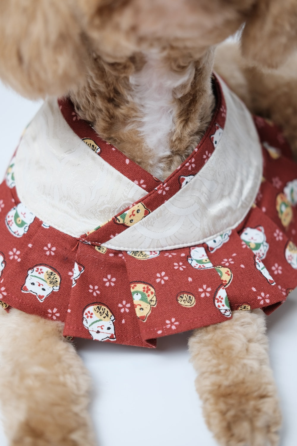 Fortune & Good Luck — Collar