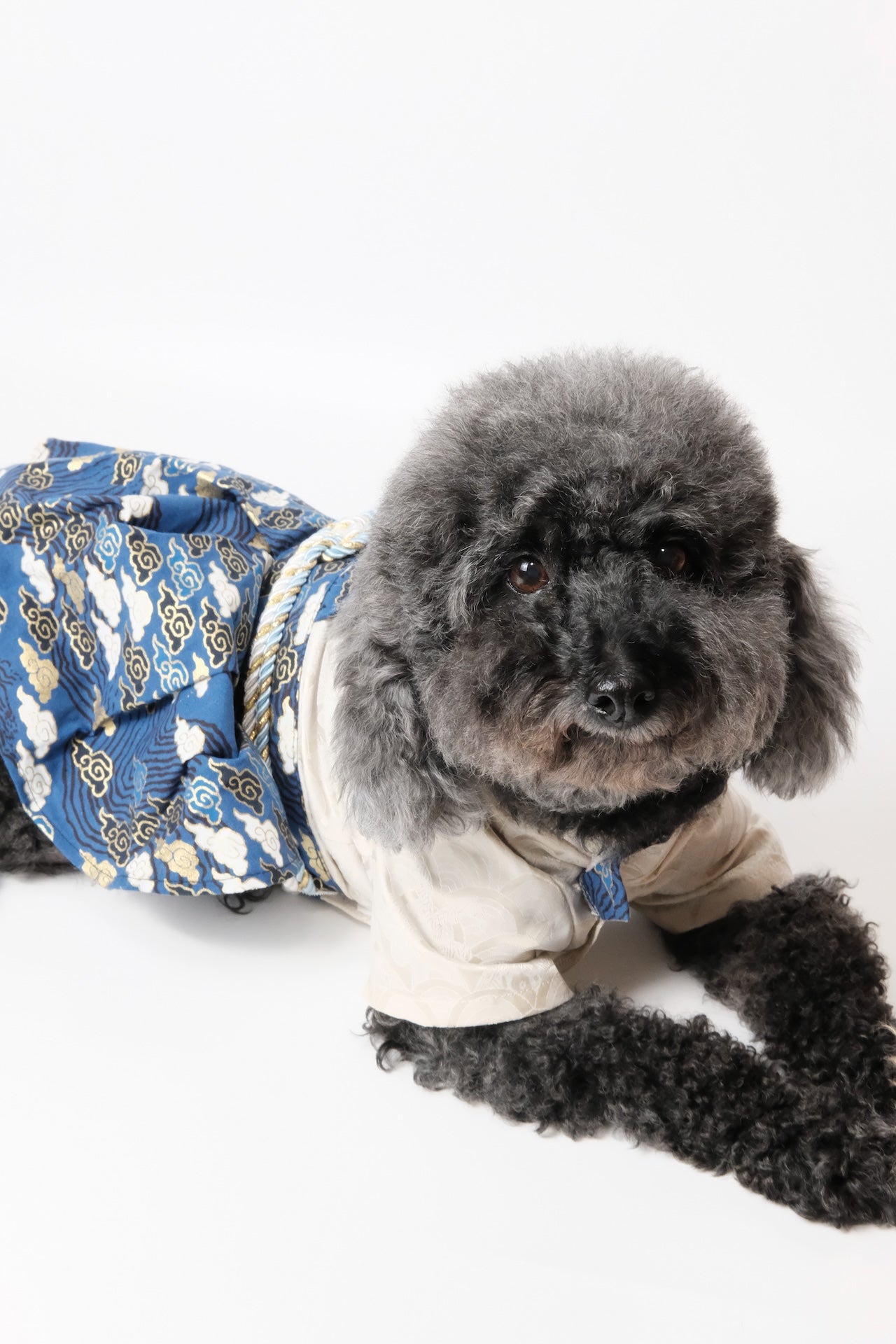 LUNA NANA New Arrivals Launch | Limited-Time Offer Pet Fashion