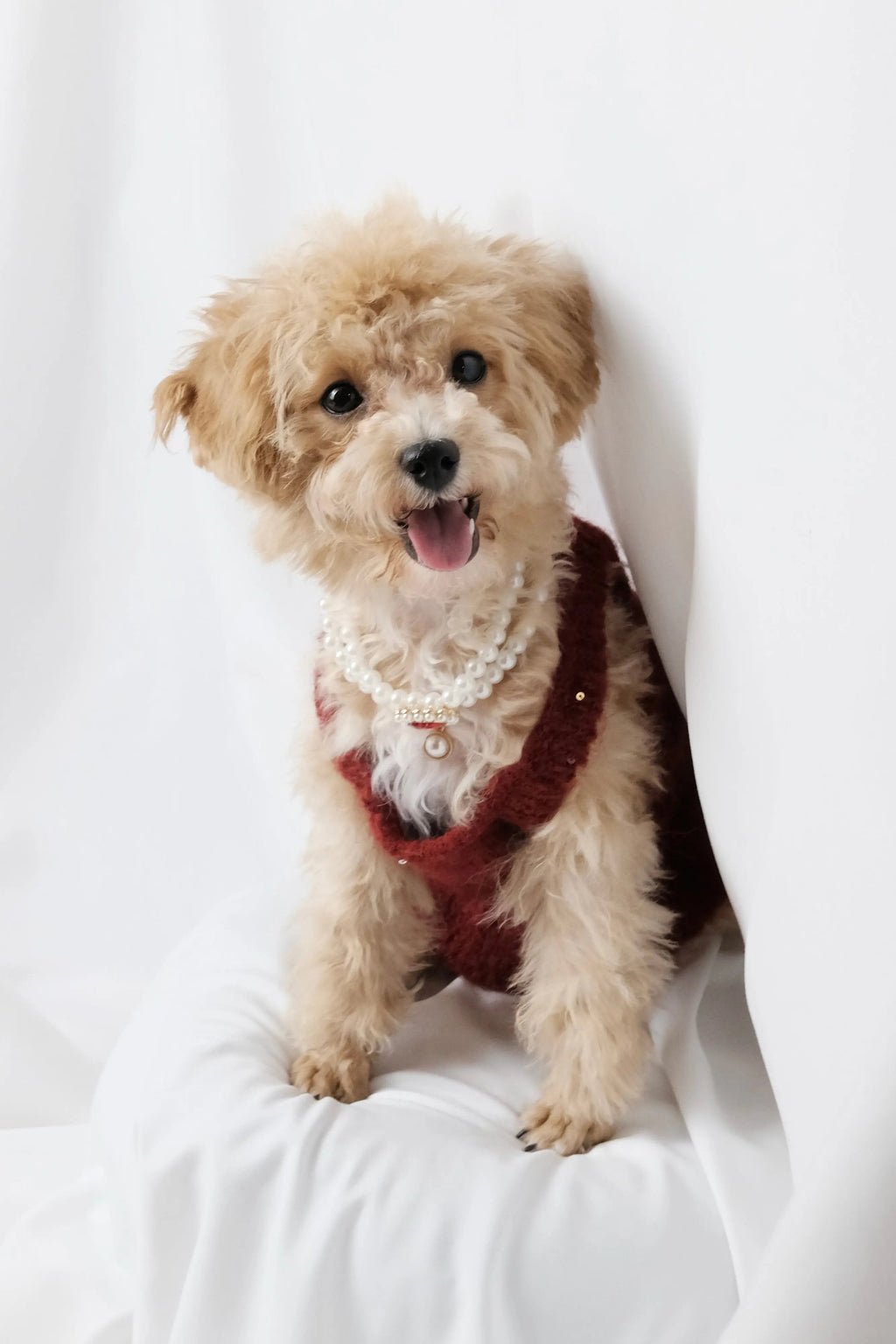 酒紅玫瑰星光針織背心裙 Luna Nana