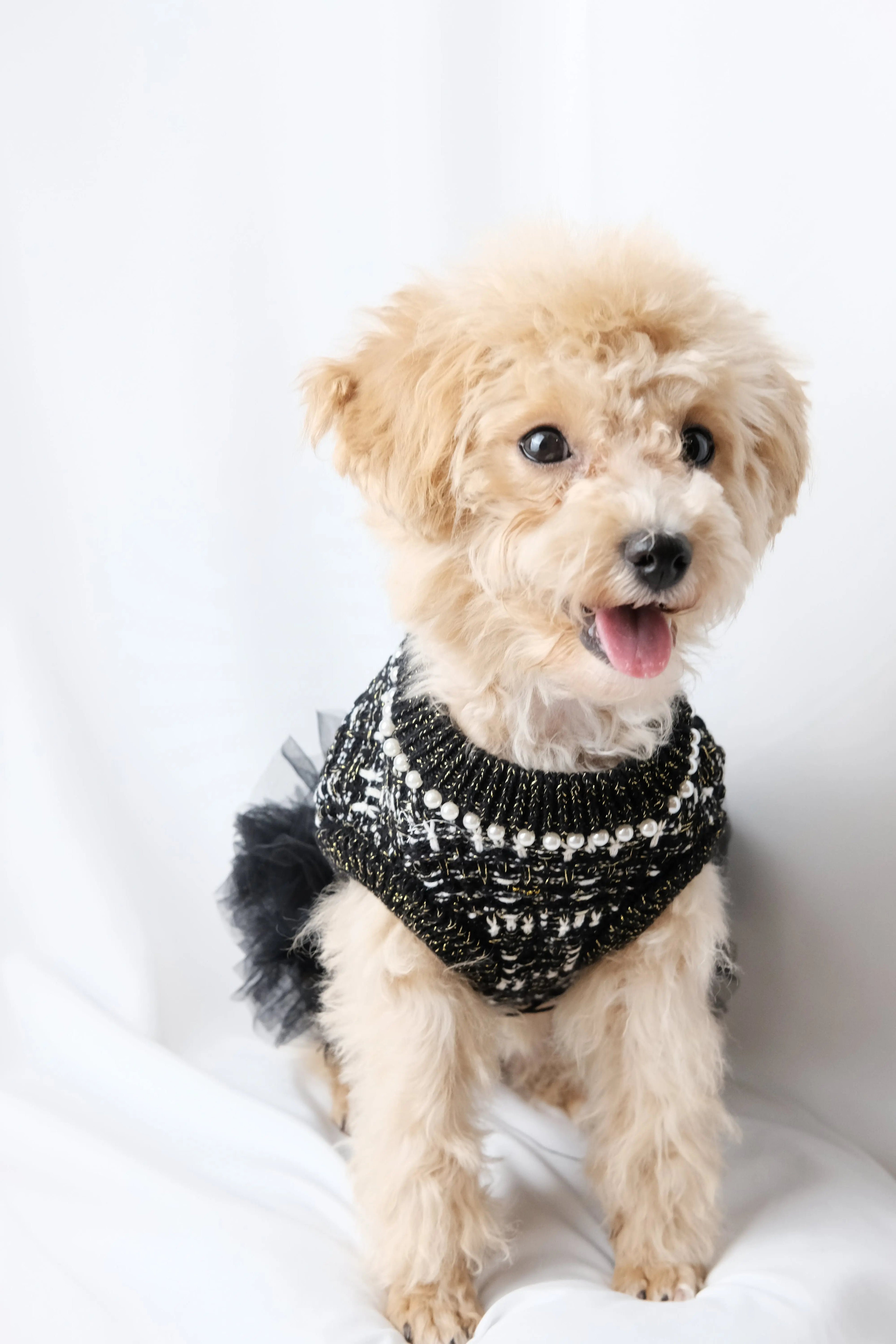 經典軟呢小黑裙 Luna Nana