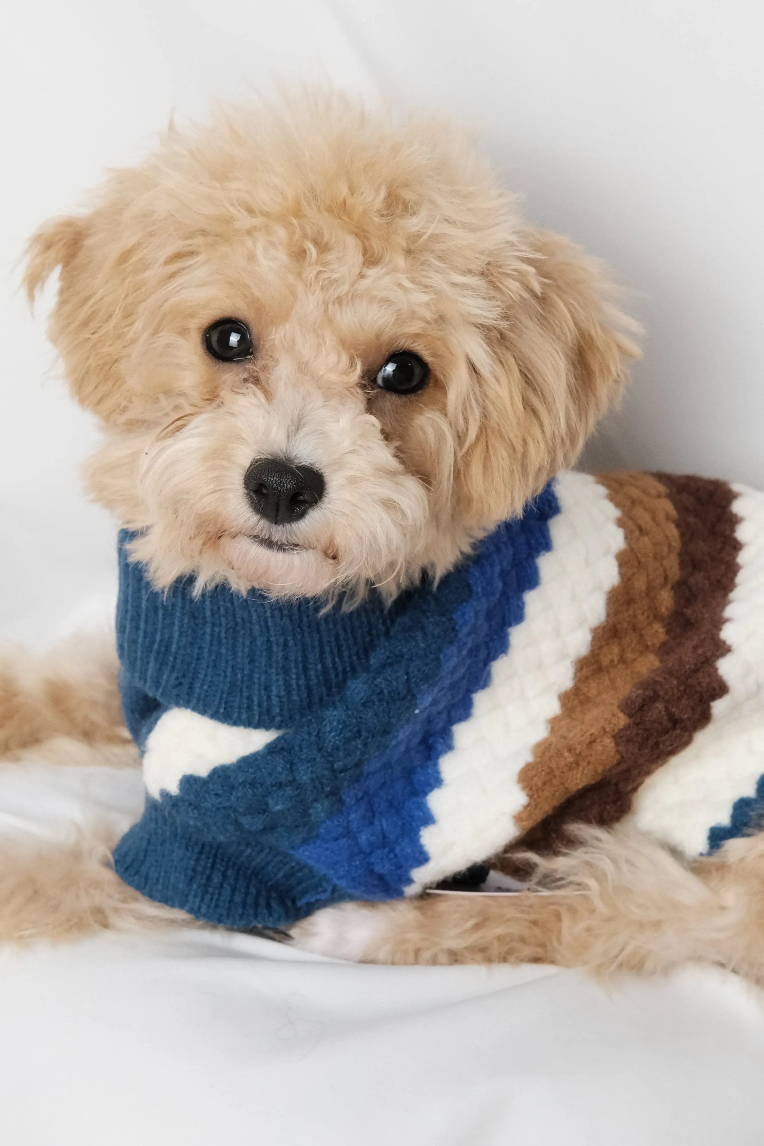 高領寶藍色條紋狗狗毛衣 Luna Nana