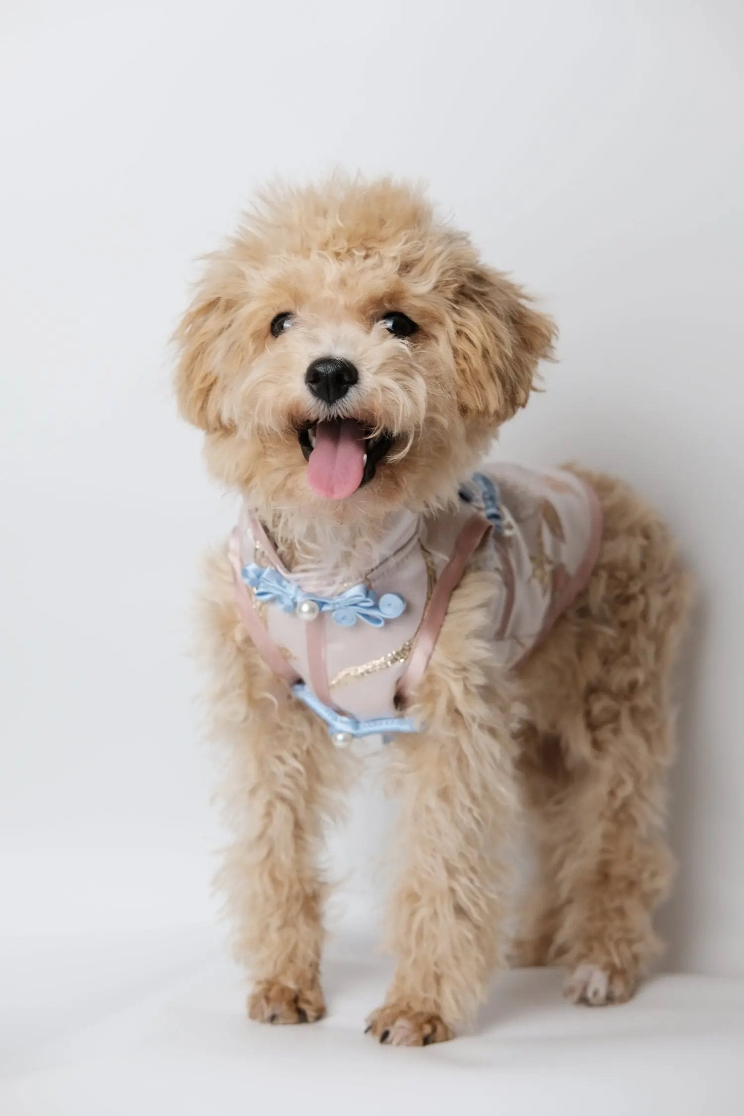 （預售）桃夭金翎．新東方藝術刺繡旗袍 Luna Nana