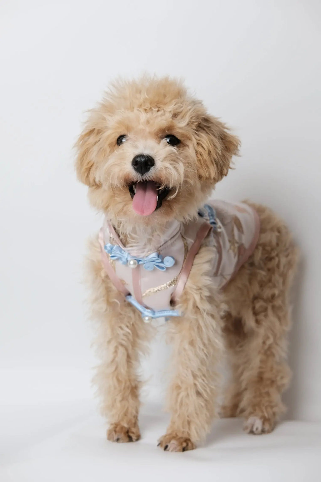 （預售）桃夭金翎．新東方藝術刺繡旗袍 Luna Nana