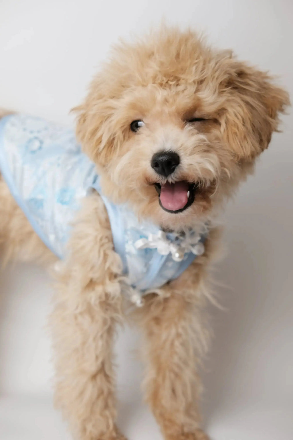 （預售）月華泠 ．新東方藝術刺繡旗袍 (副本) Luna Nana