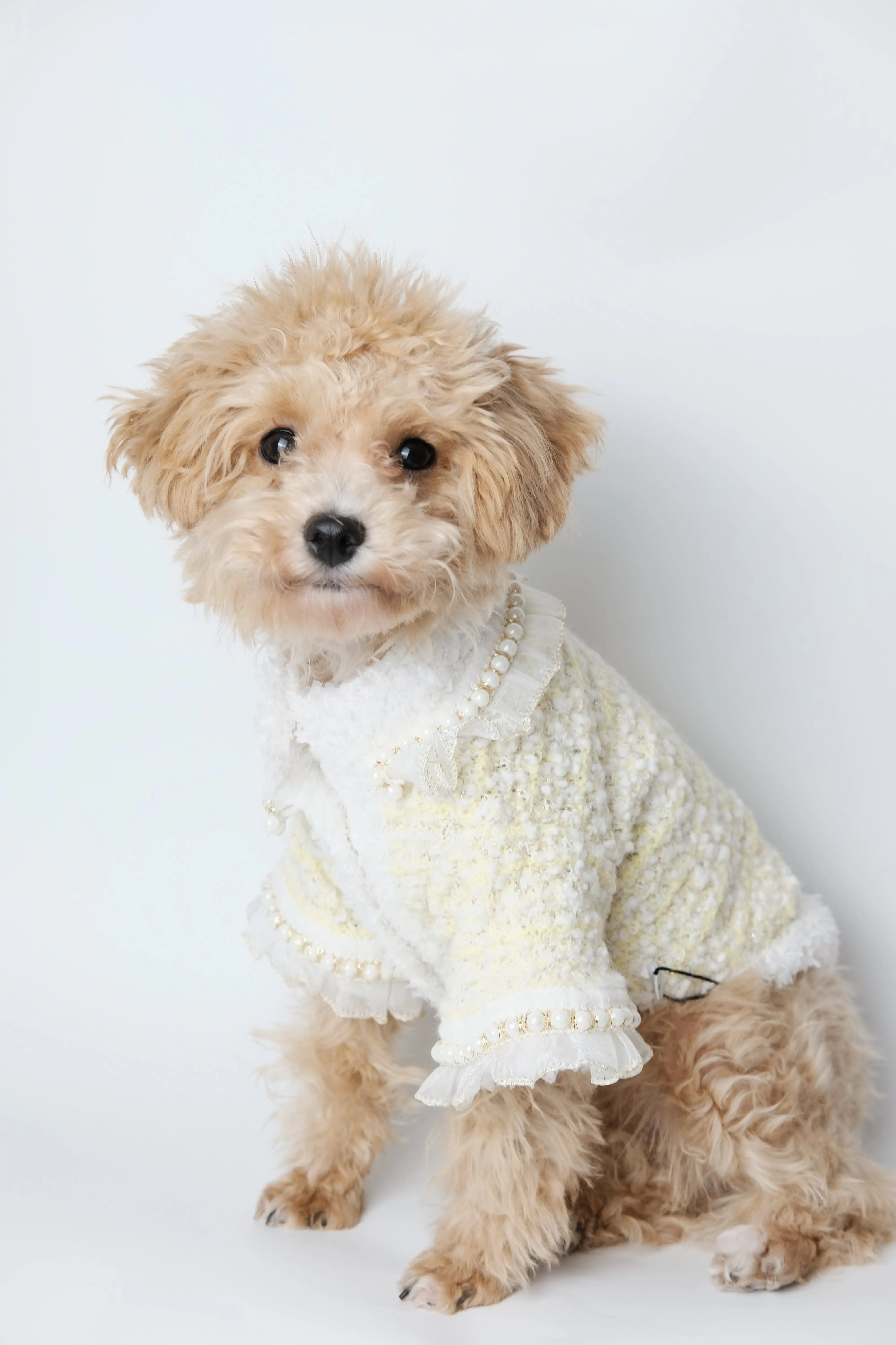 Classic Bright Yellow Tweed Dog Blazer