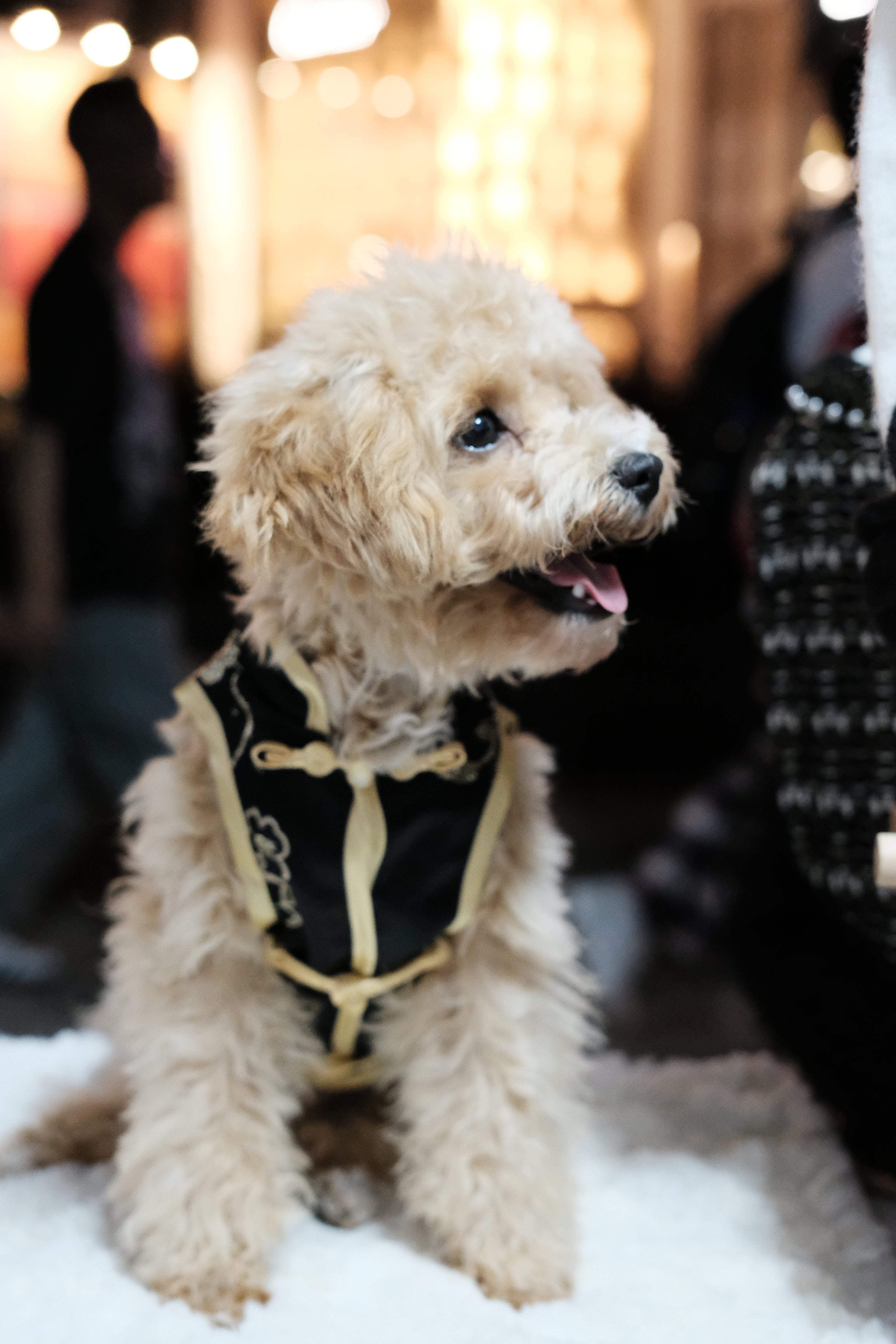 Ink Dawn Gentleman Cheongsam- New Oriental Art Embroidery Dog Cheongsam