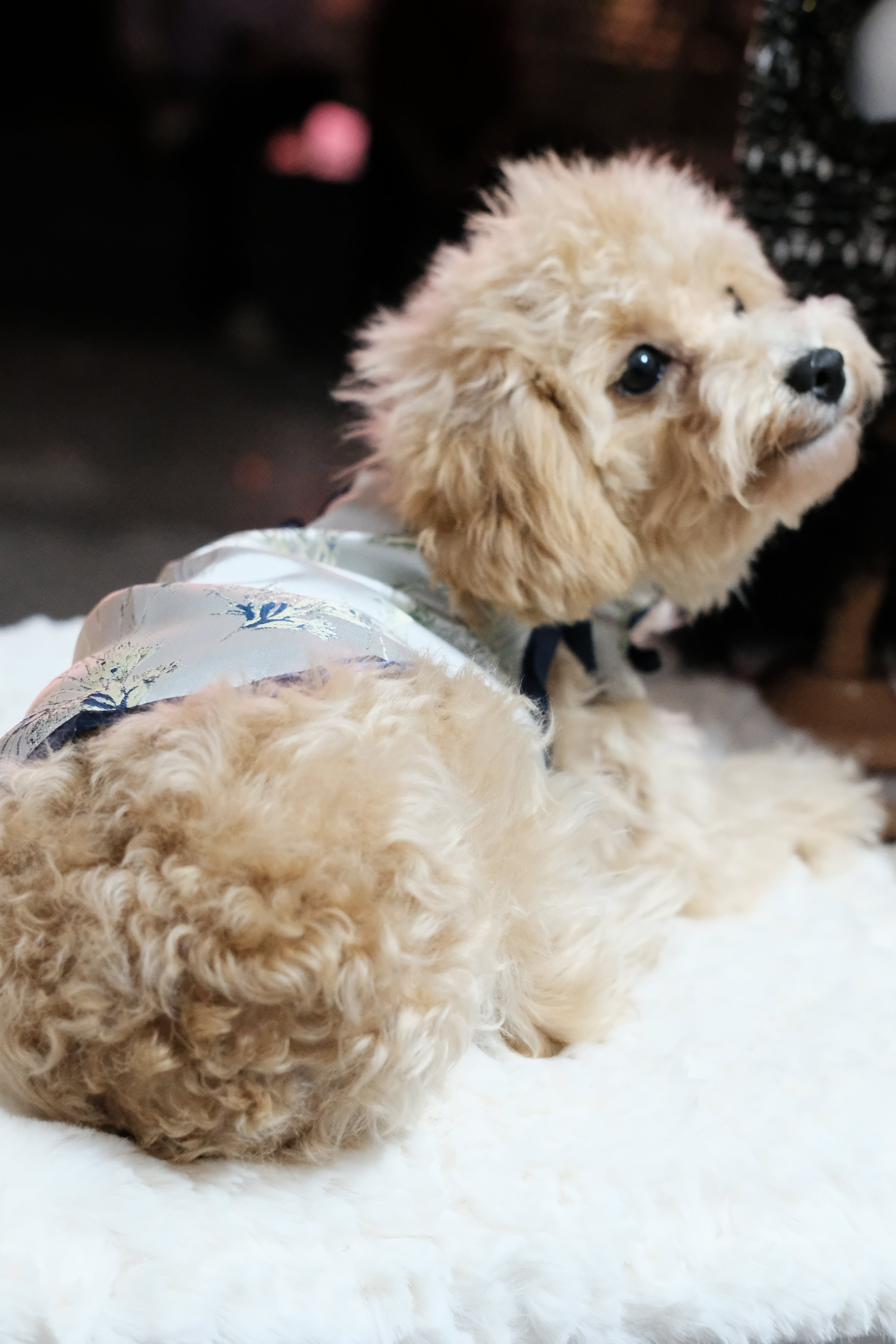 Vast Azure Gentleman Cheongsam - New Oriental Art Embroidery Dog Cheongsam