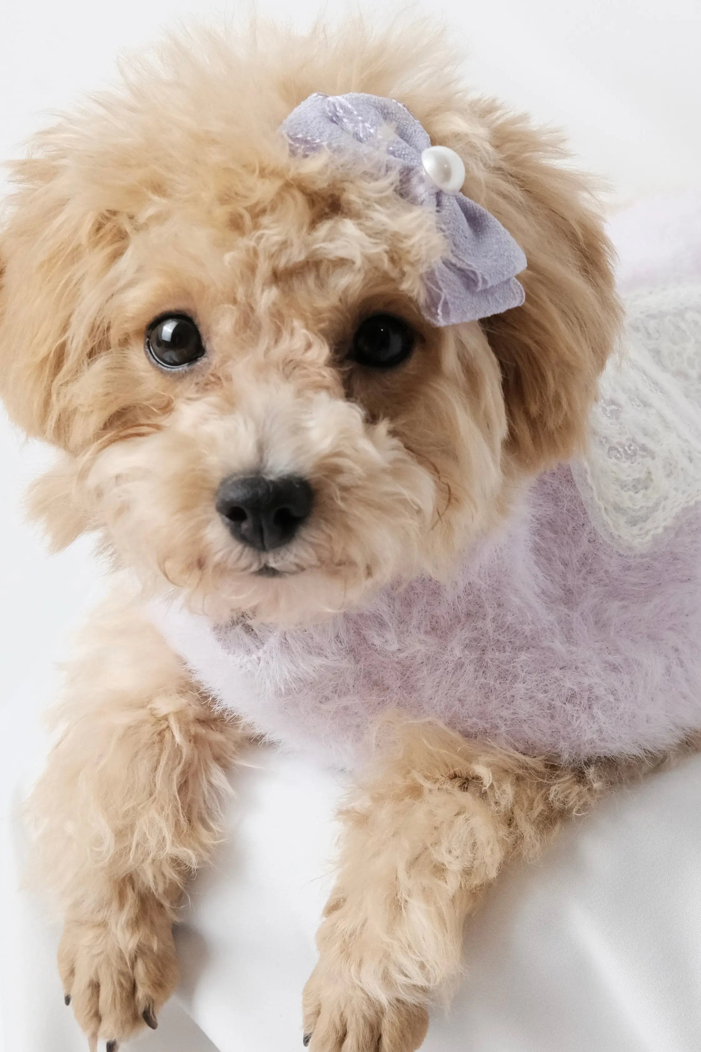 香芋紫繡花蝴蝶結毛衣 Luna Nana