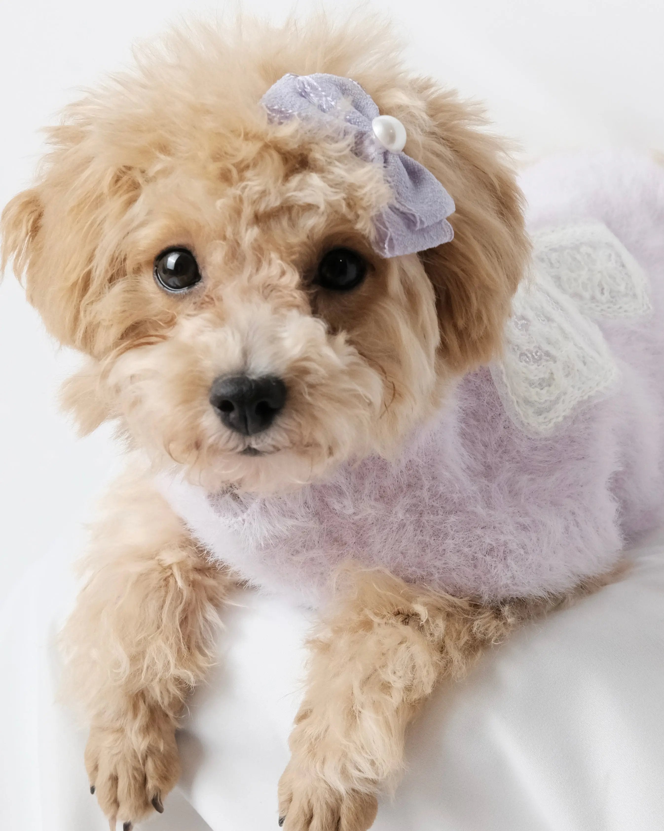 香芋紫繡花蝴蝶結毛衣 Luna Nana