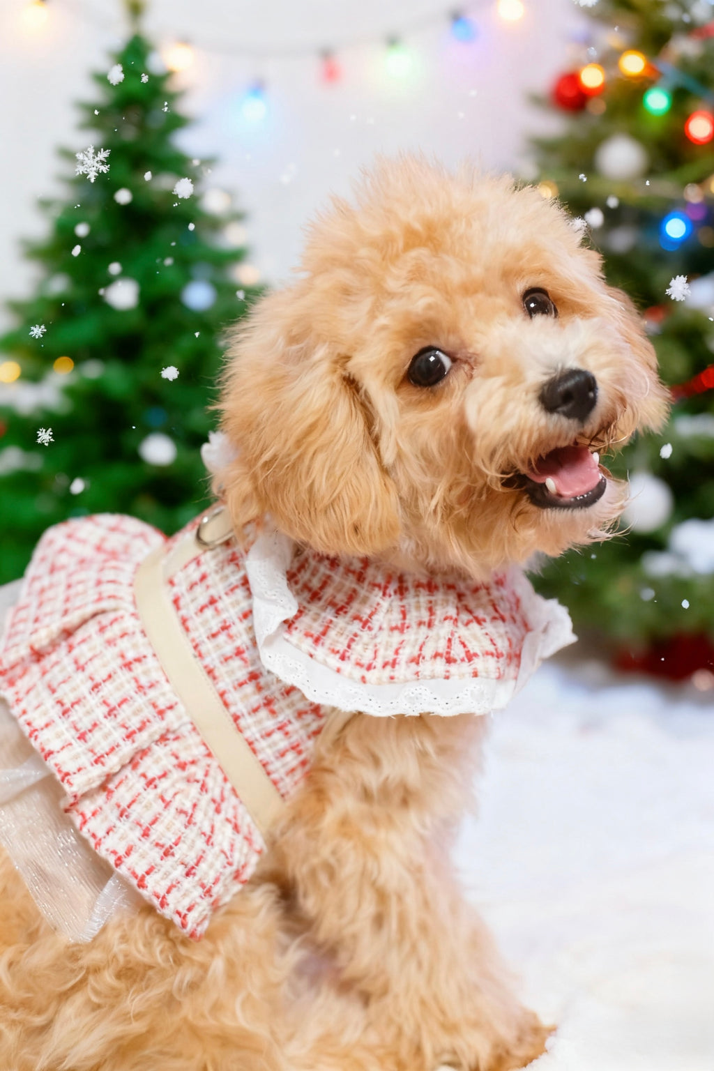 Red & White Houndstooth Skirt Harness