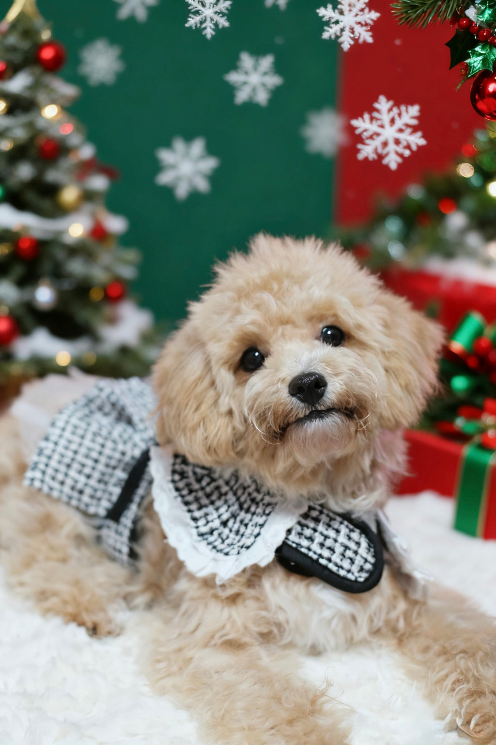 Black & White Houndstooth Skirt Harness