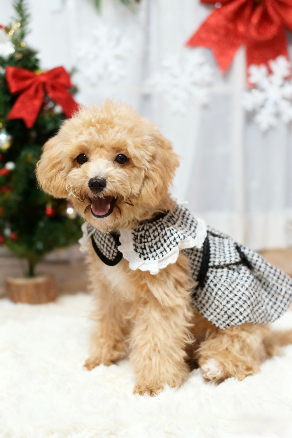 Black & White Houndstooth Skirt Harness