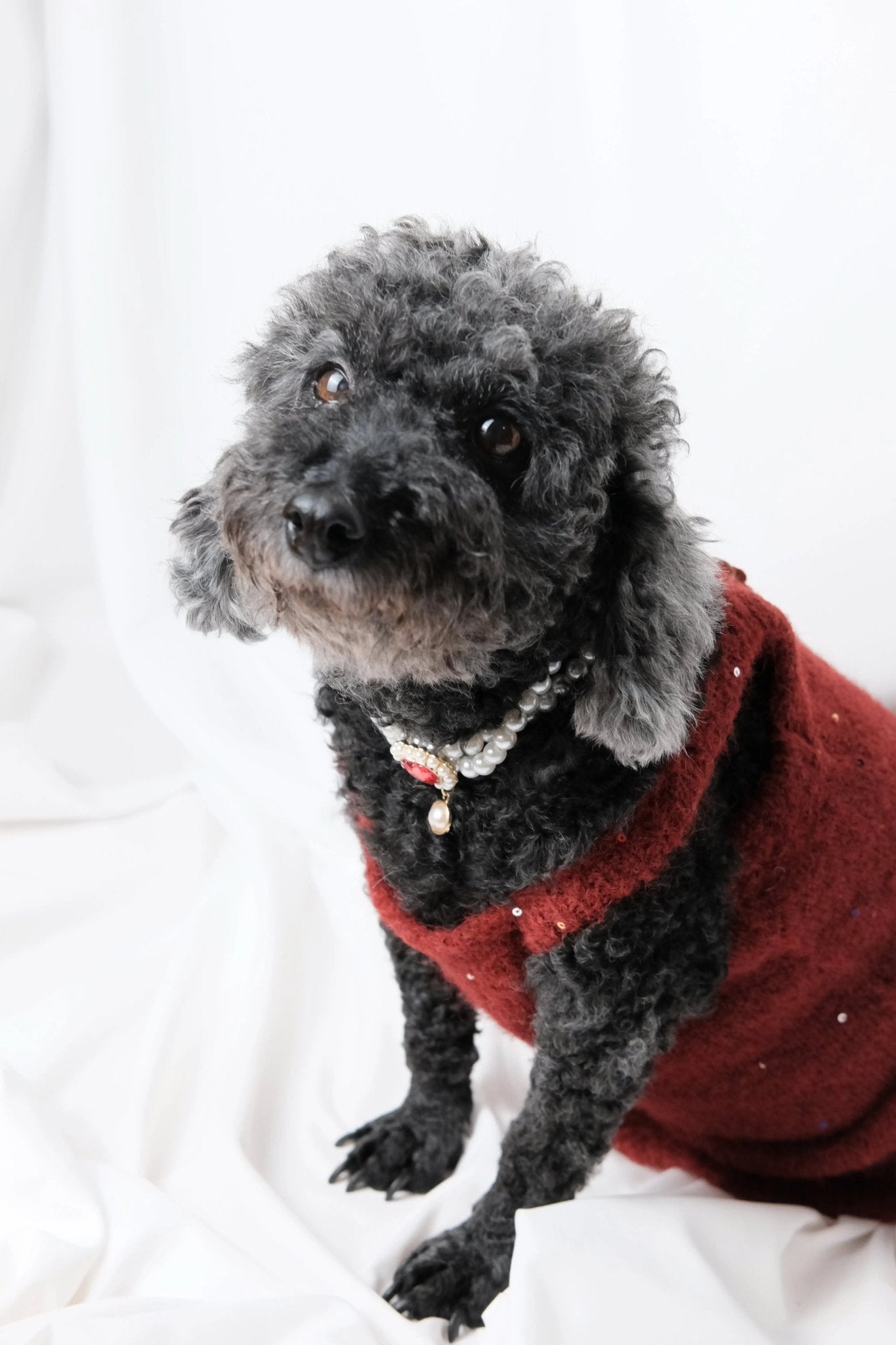 Burgundy Rose Sparkle Knit Dog Dress - Luna Nana