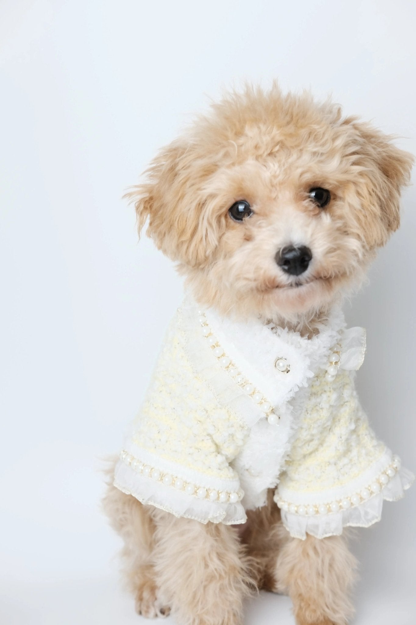 Classic Bright Yellow Tweed Dog Blazer - Luna Nana