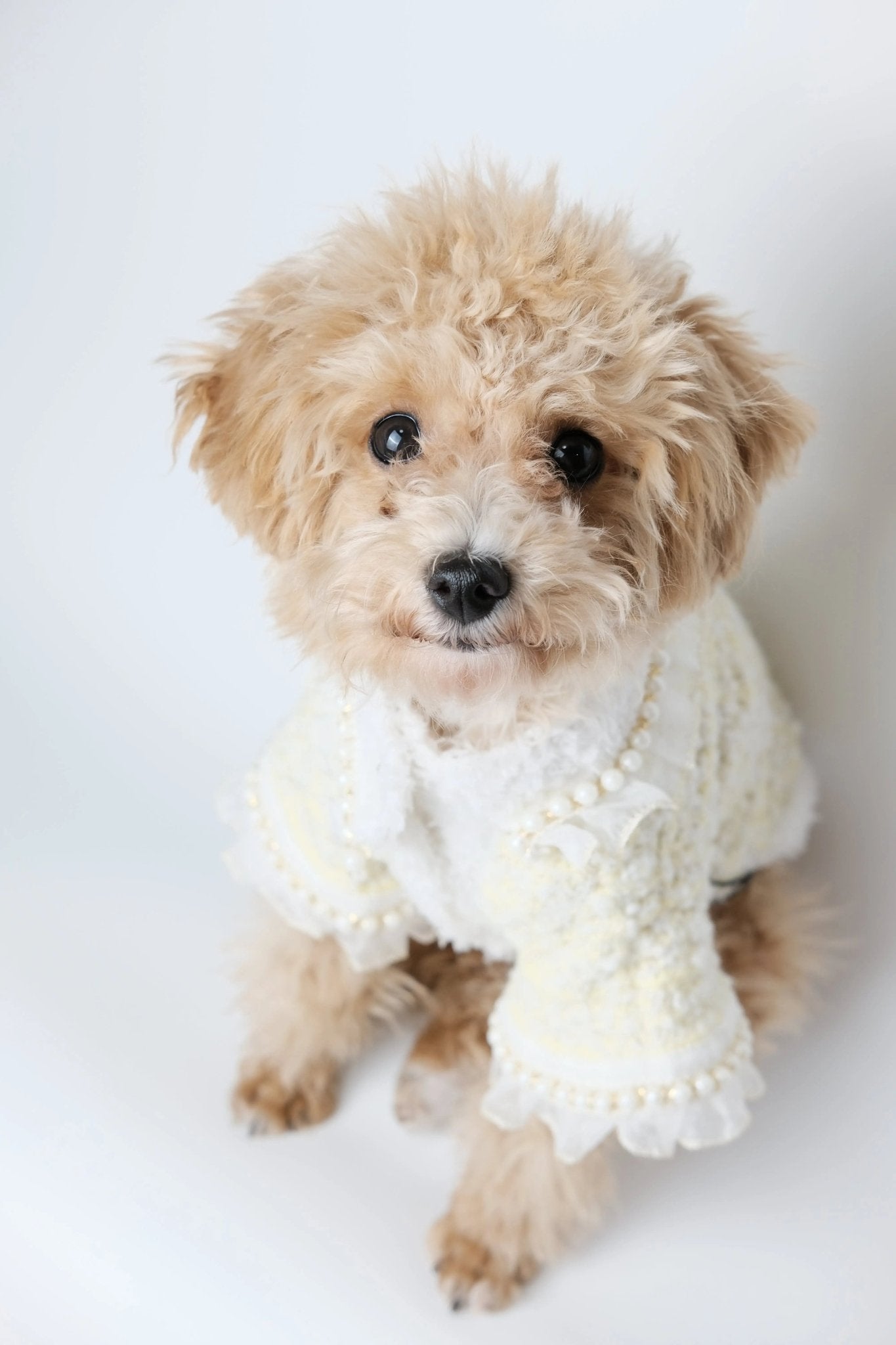 Classic Bright Yellow Tweed Dog Blazer - Luna Nana