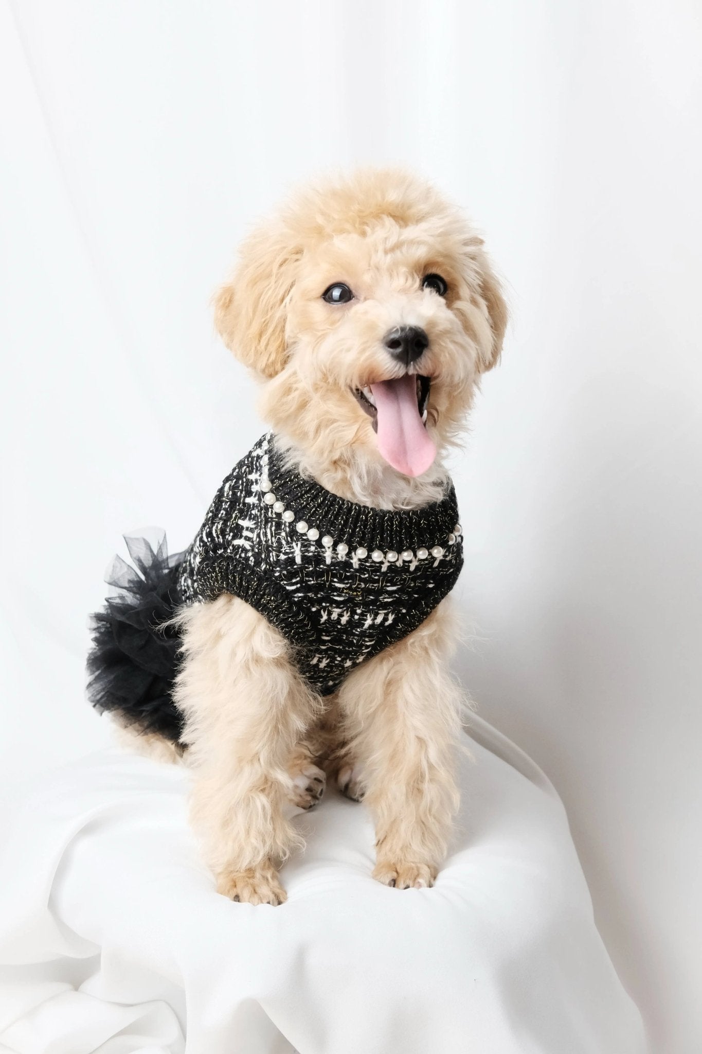 Classic Little Black Tweed Dog Dress - Luna Nana