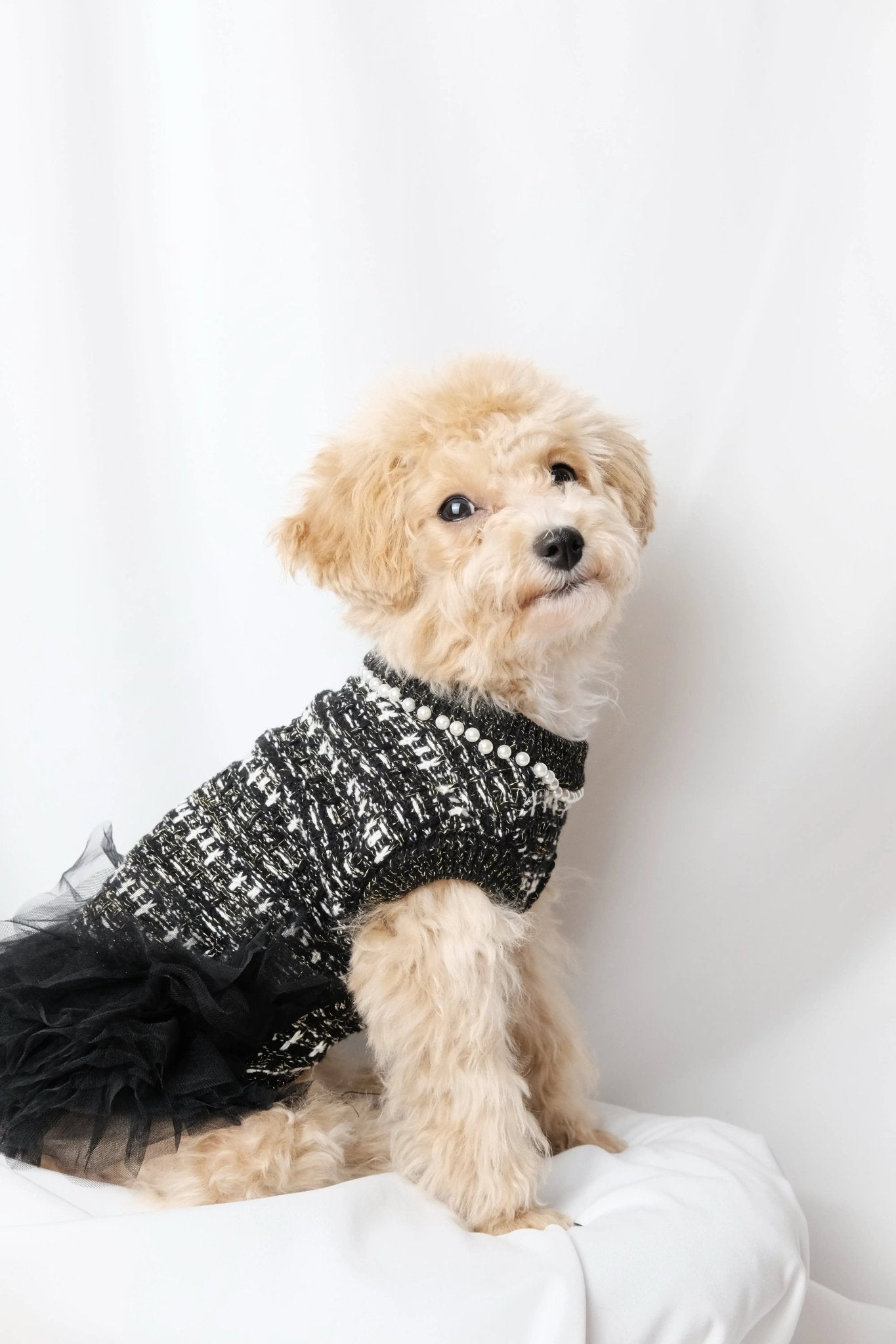 Classic Little Black Tweed Dog Dress - Luna Nana