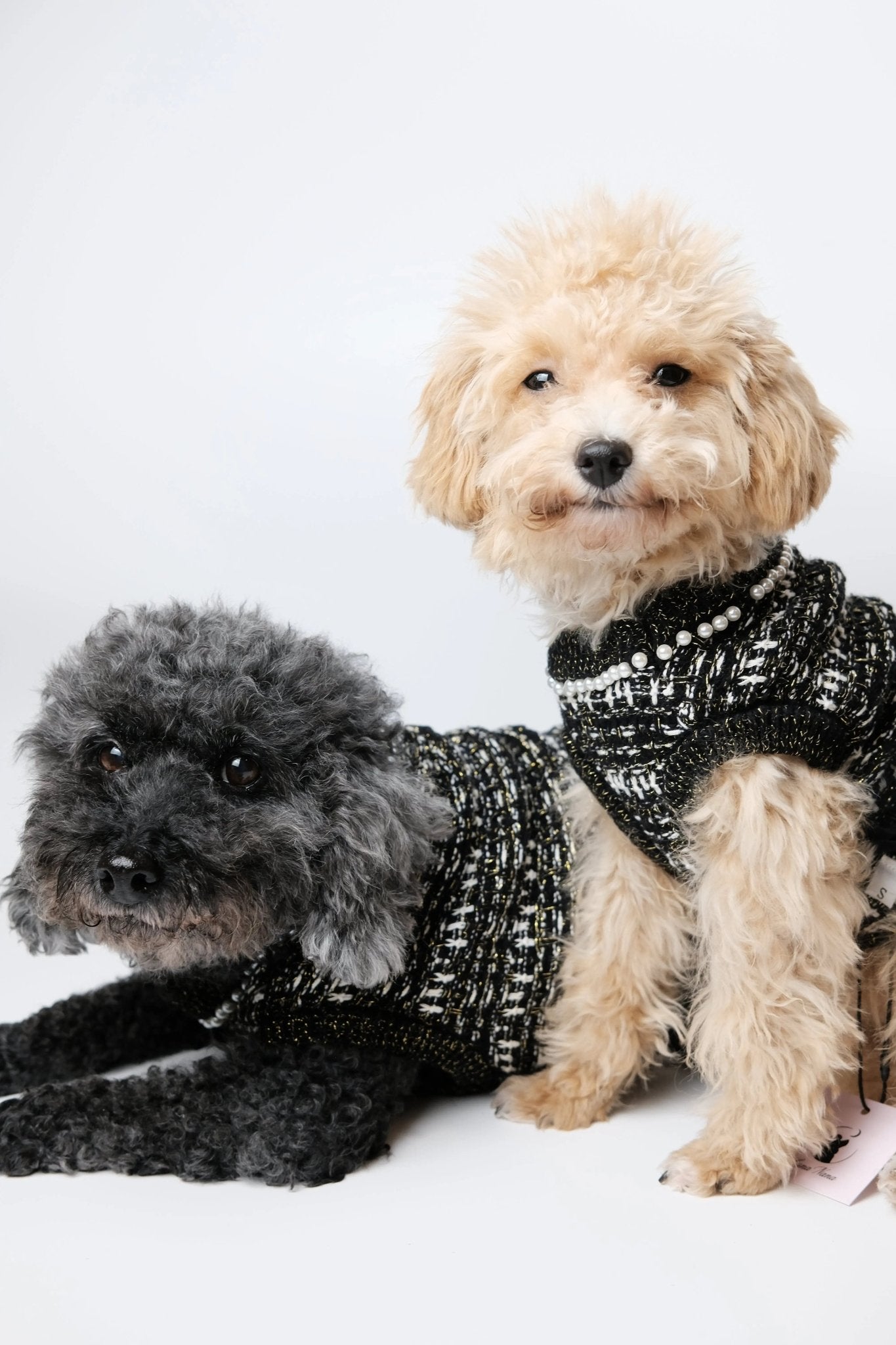 Classic Little Black Tweed Dog Dress - Luna Nana