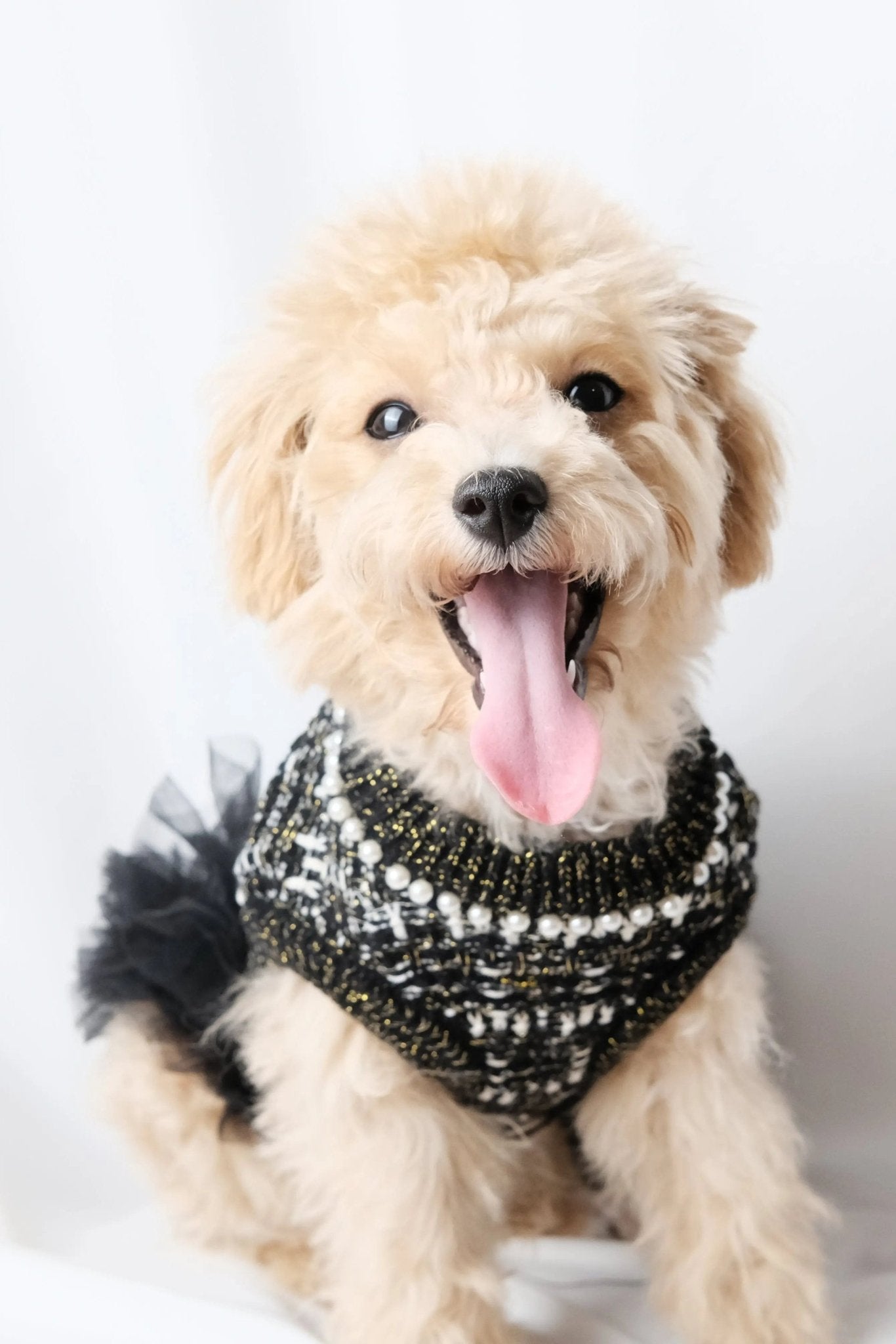 Classic Little Black Tweed Dog Dress - Luna Nana