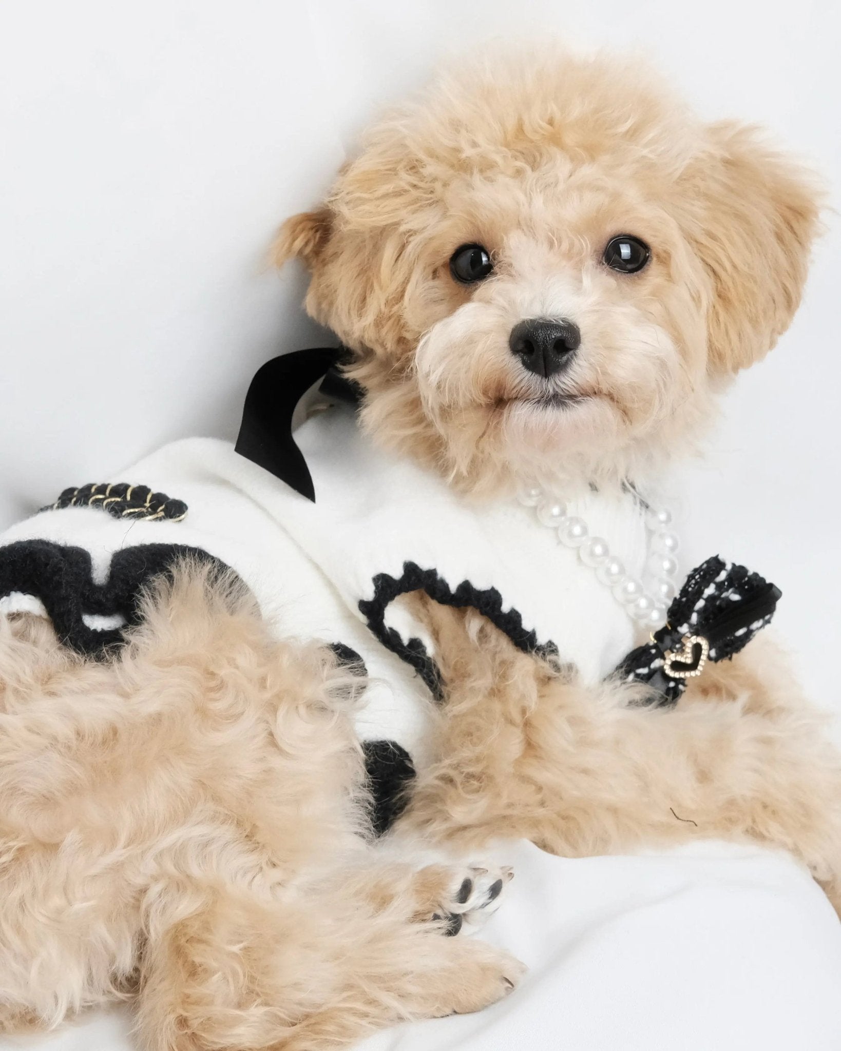 Classic Ruffle Knit Black On White Dog Dress - Luna Nana