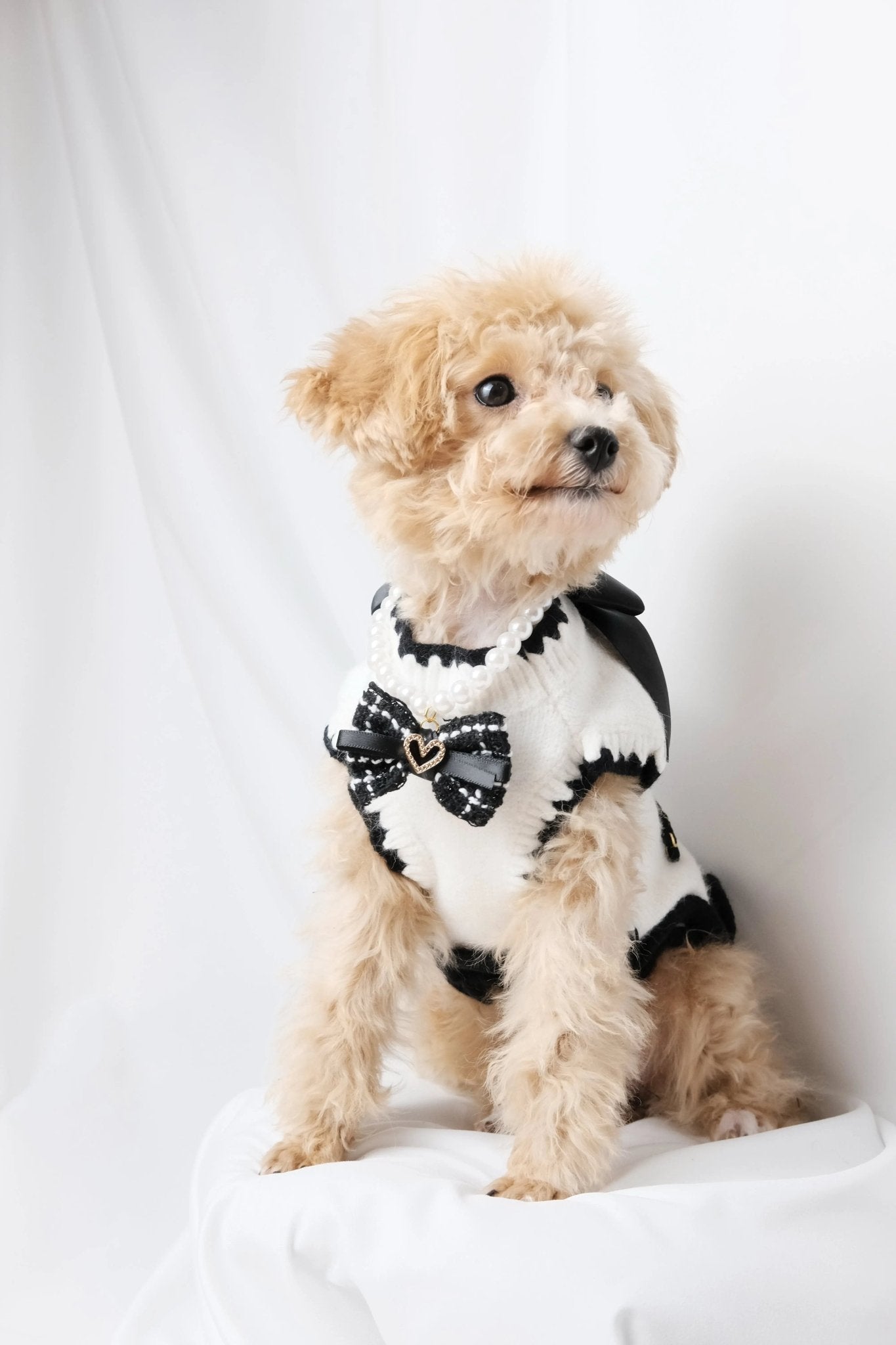 Classic Ruffle Knit Black On White Dog Dress - Luna Nana