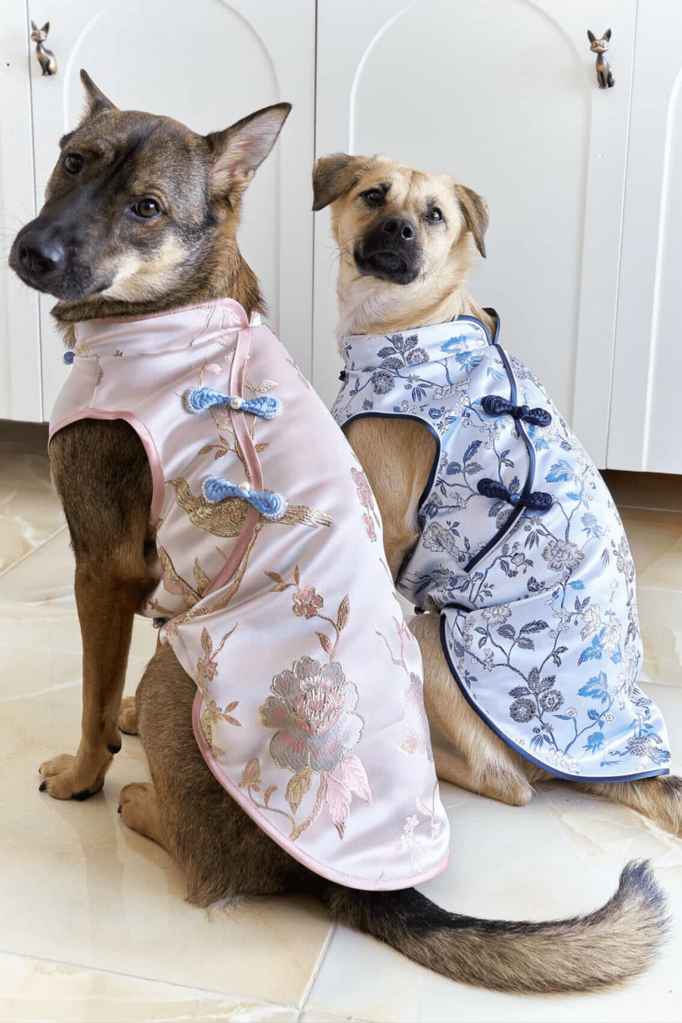 Peach Blossom Phoenix | Luxury Gold - Thread Cheongsam for Dogs & Cats - Luna Nana
