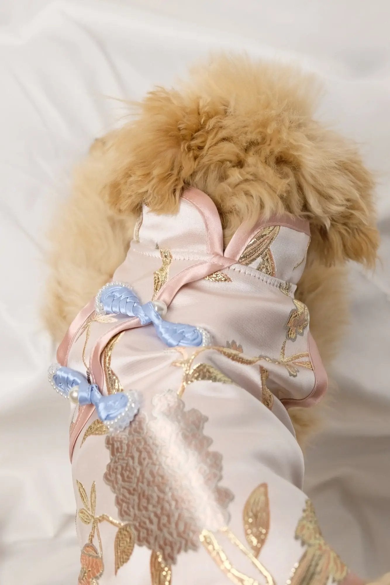 Peach Blossom Phoenix | Luxury Gold - Thread Cheongsam for Dogs & Cats - Luna Nana