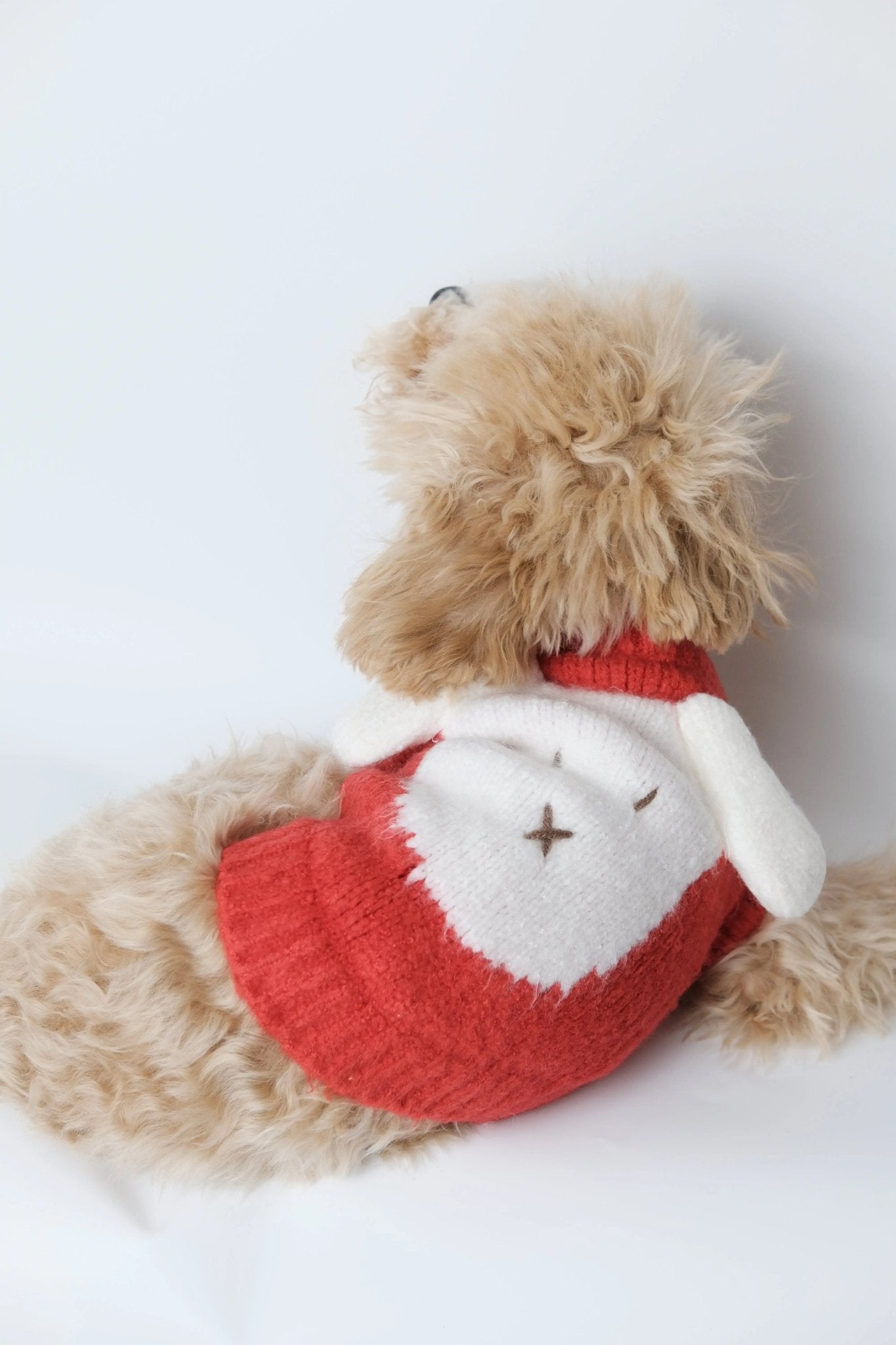 Scarlet Sweetie Dog Sweater - Luna Nana