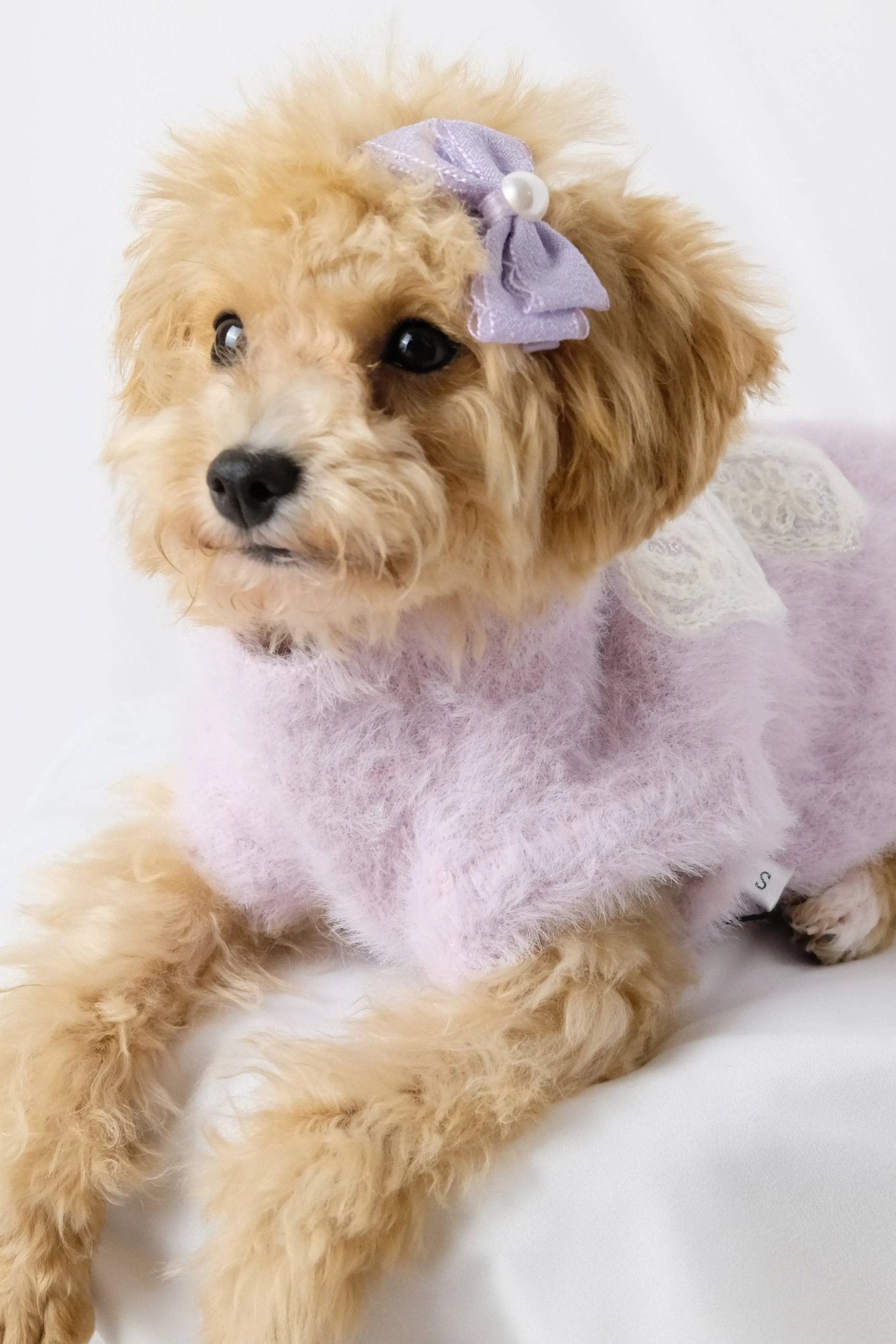 Taro Purple Embroidered Butterfly Bow Dog Sweater - Luna Nana